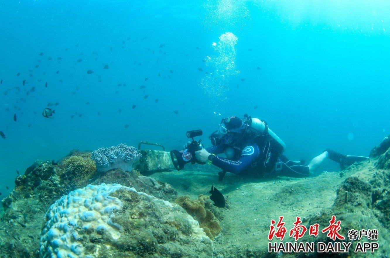 沙漠避难所